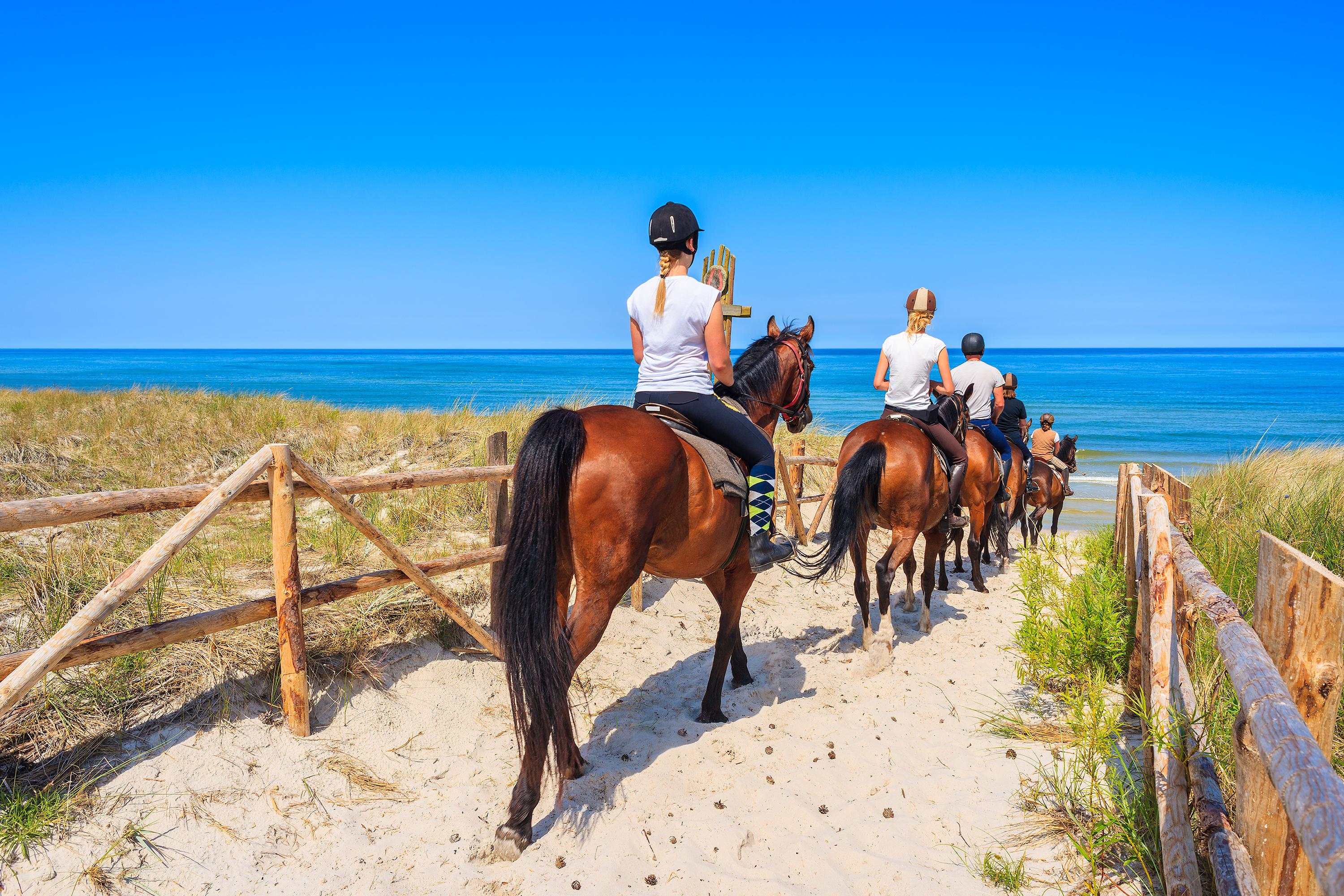Apartamentos Posidonia Son Parc Εξωτερικό φωτογραφία